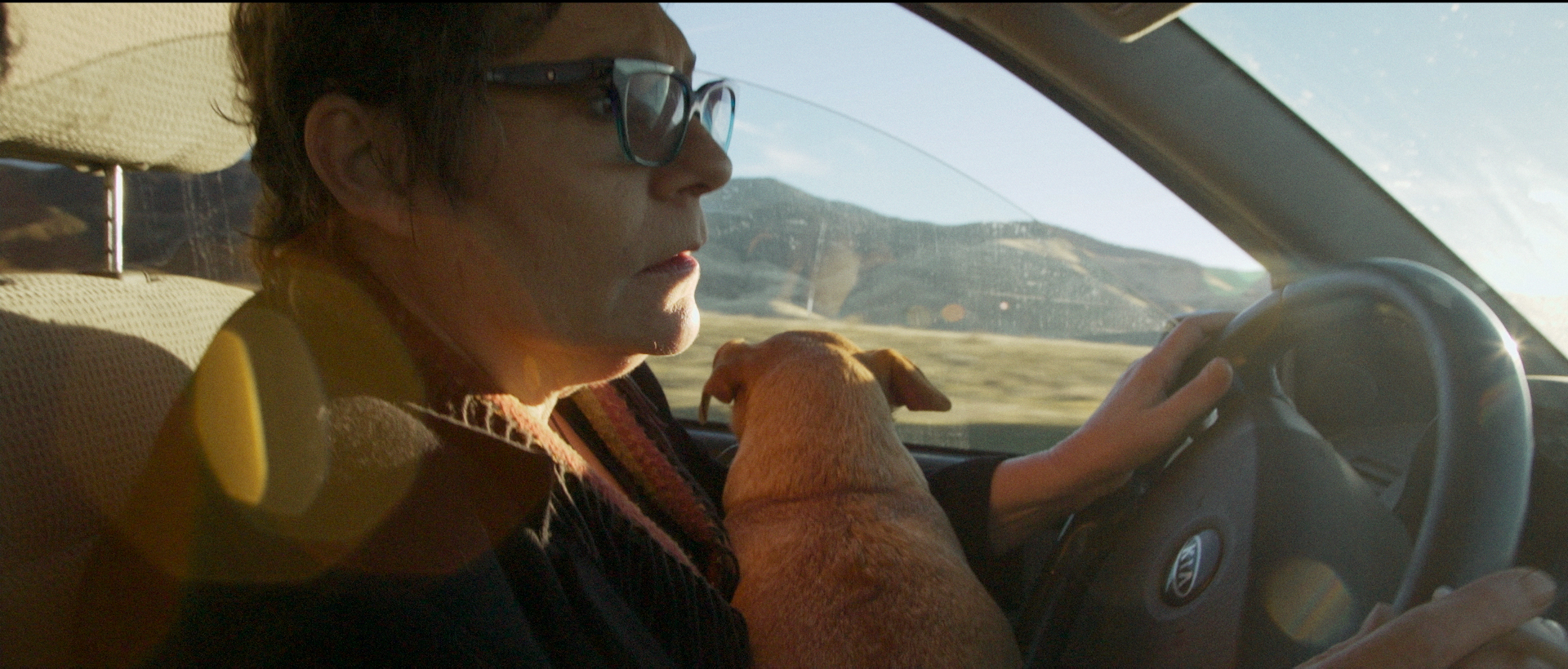 Quicksilver Chronicles