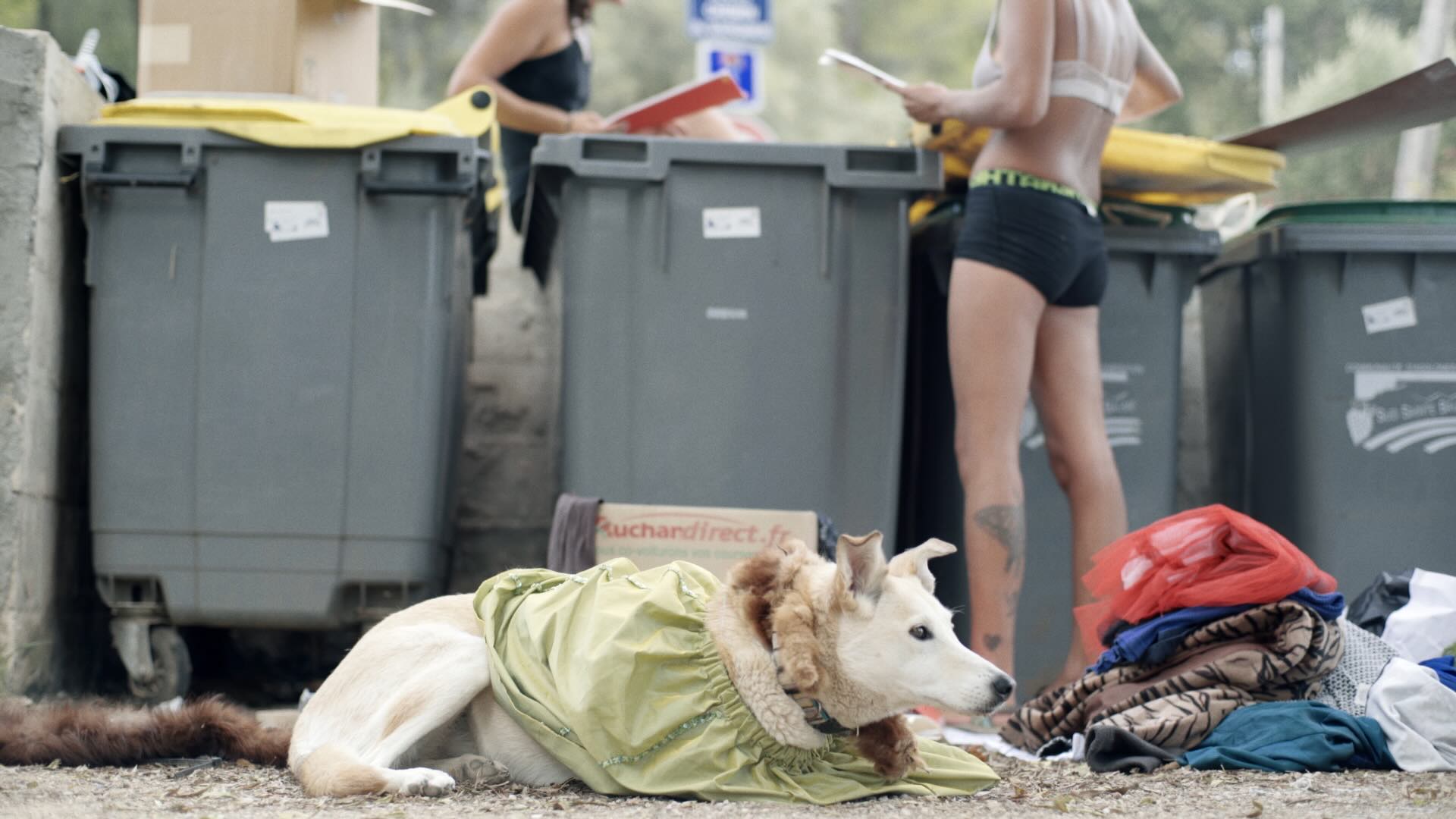 Terra in Vista - Trailer