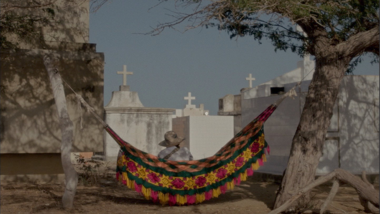 Dreams Travel With the Wind