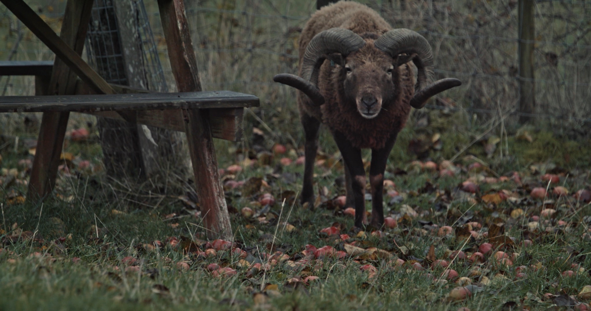 Some Kind of Intimacy