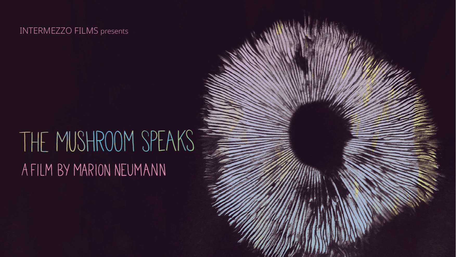 Press Kit + Director Statement