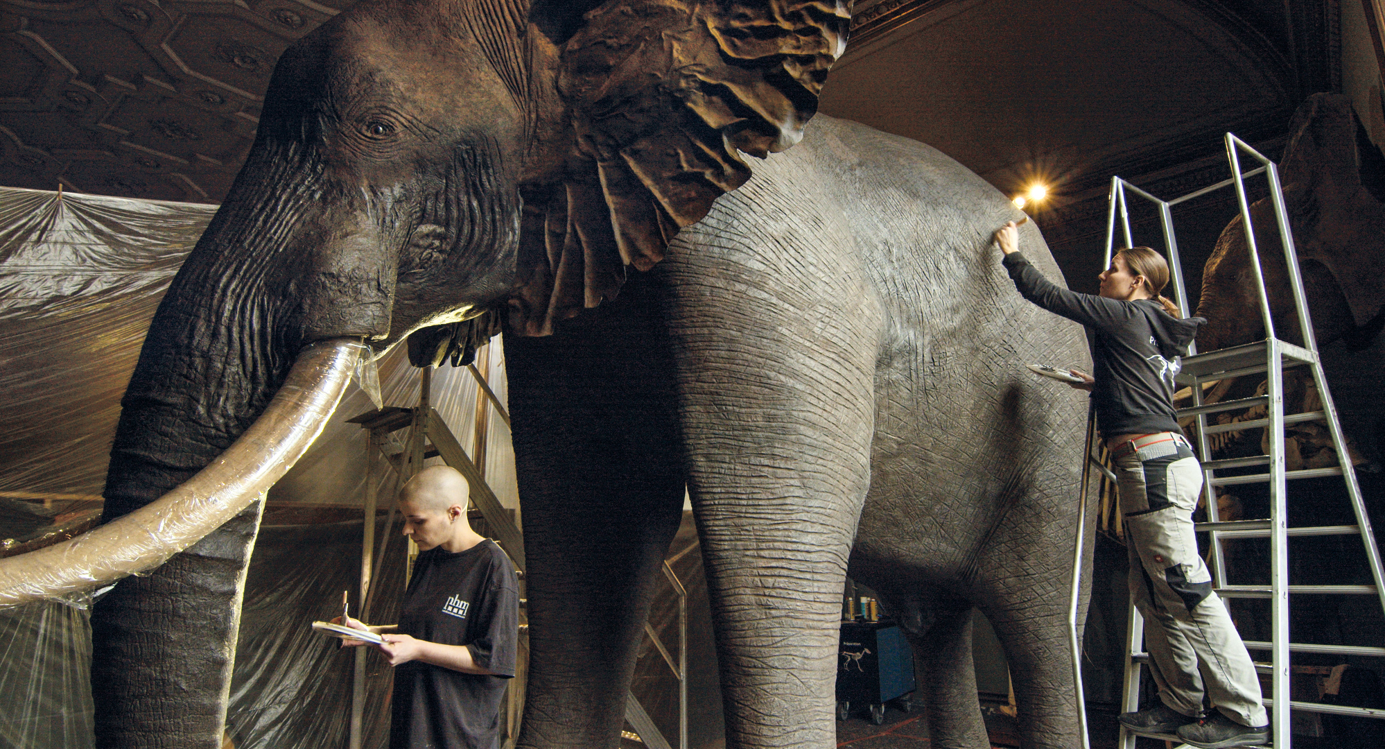 Archive of the Future - Trailer