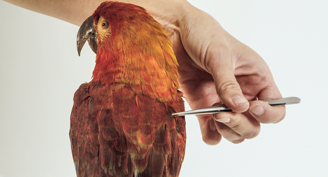 Archive of The Future