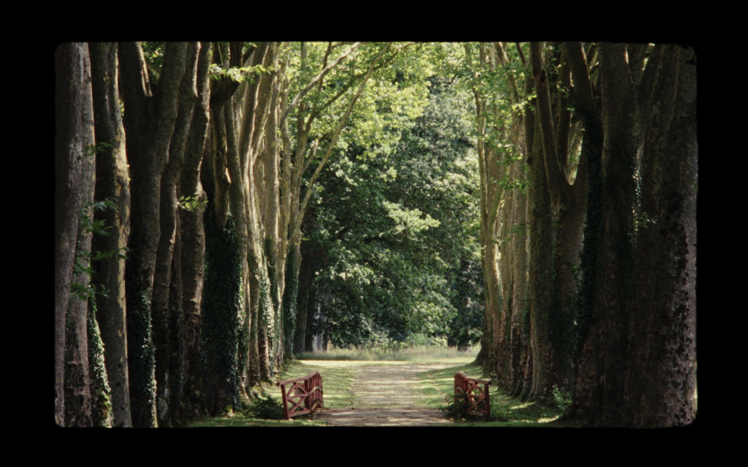 61st Ann Arbor FF - Interview with Up The River With Acid director Harald Hutter