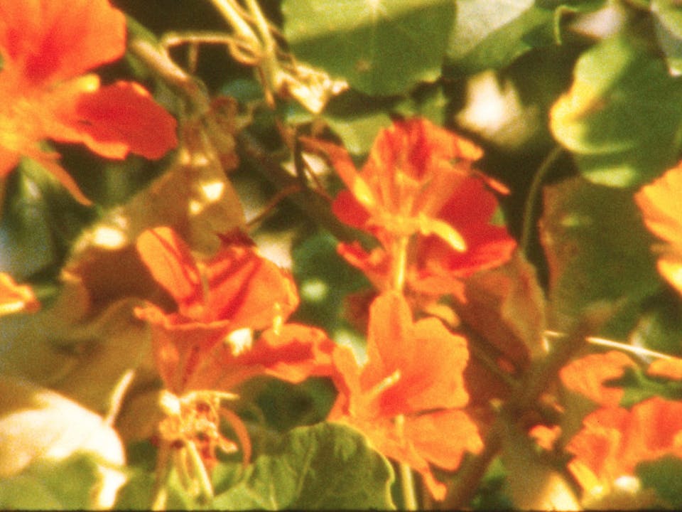 The Secret Garden - Trailer - True Story