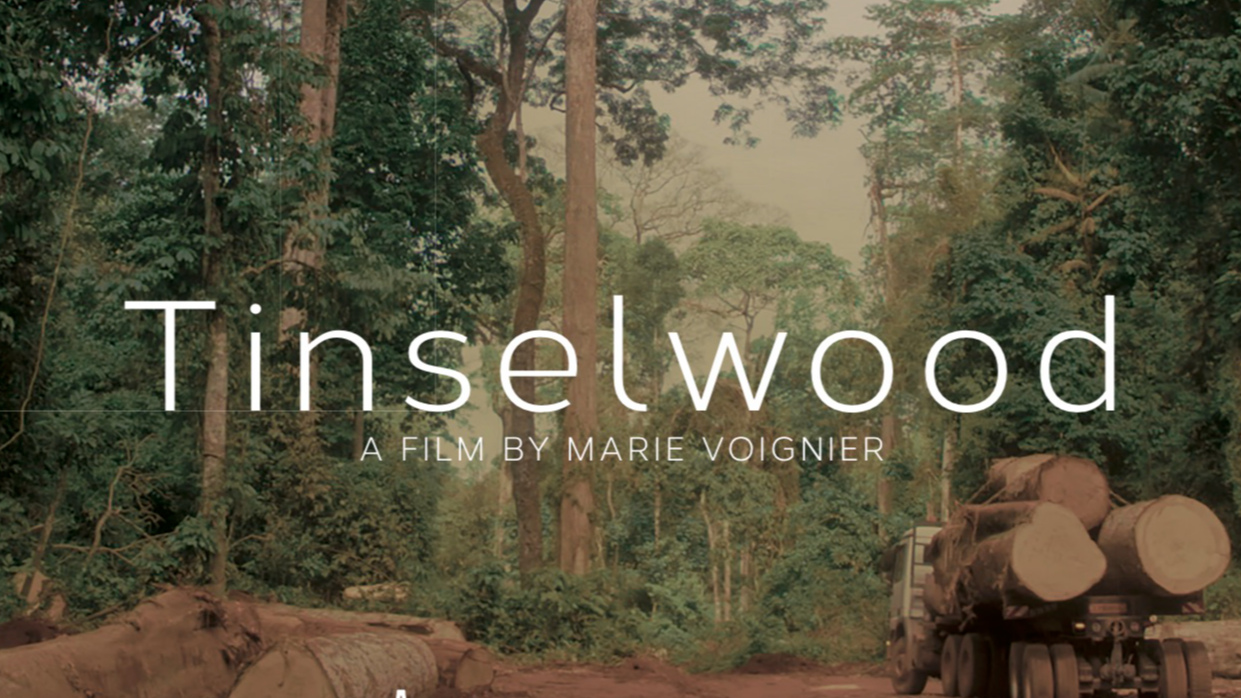 Berlinale Press Release - Tinselwood