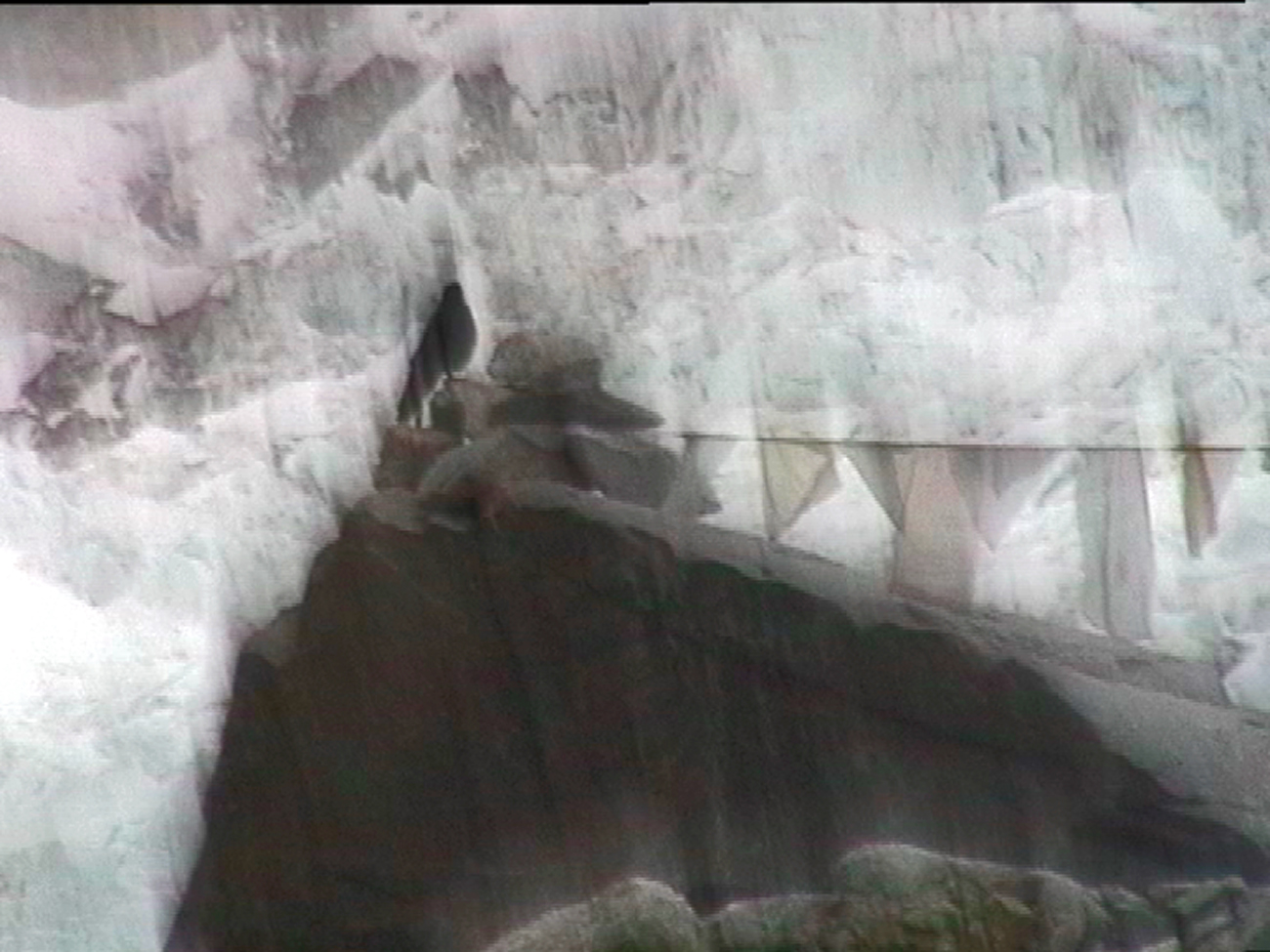 4 Years in 10 Minutes