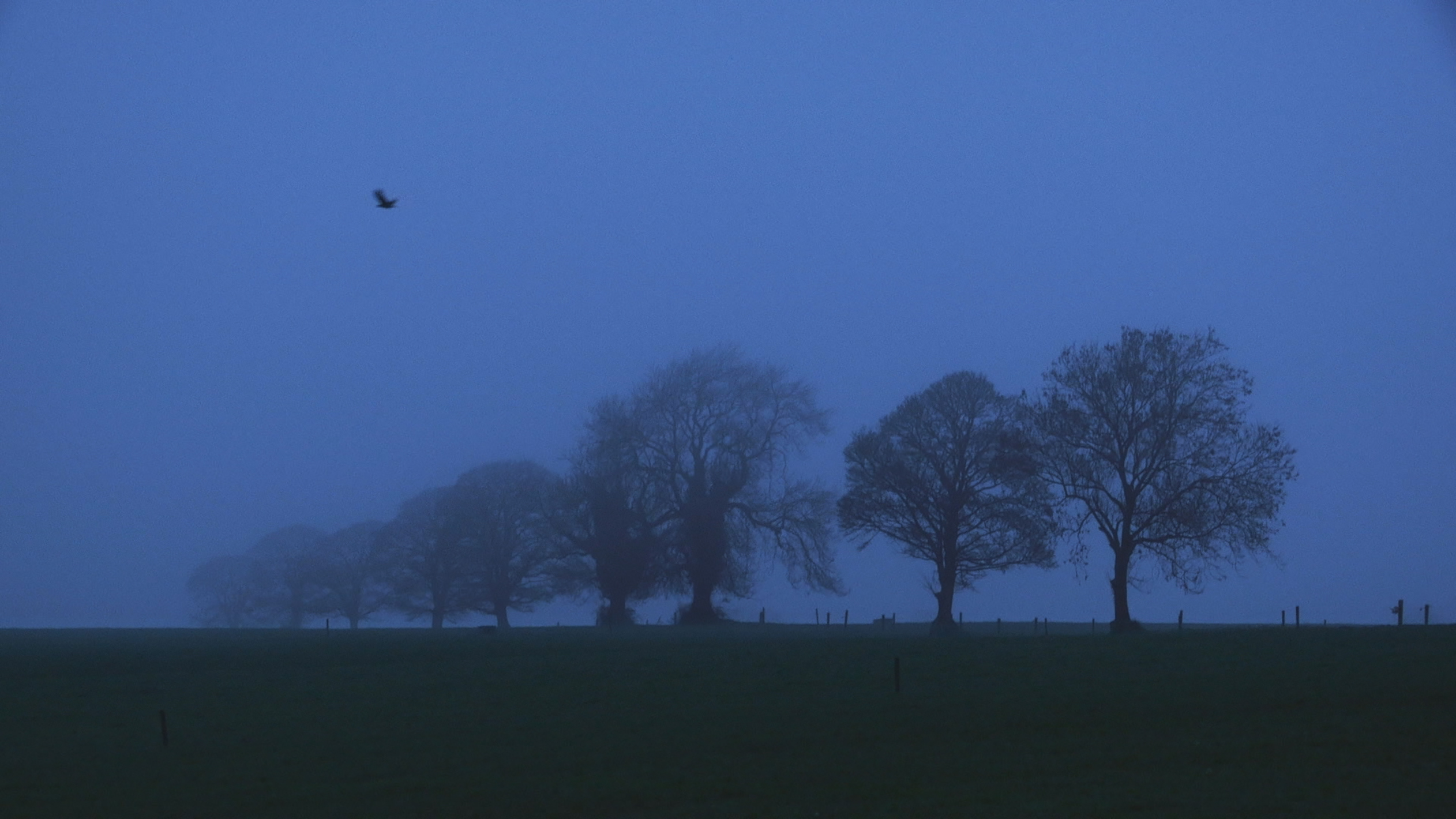 Lovers of the Night - Trailer