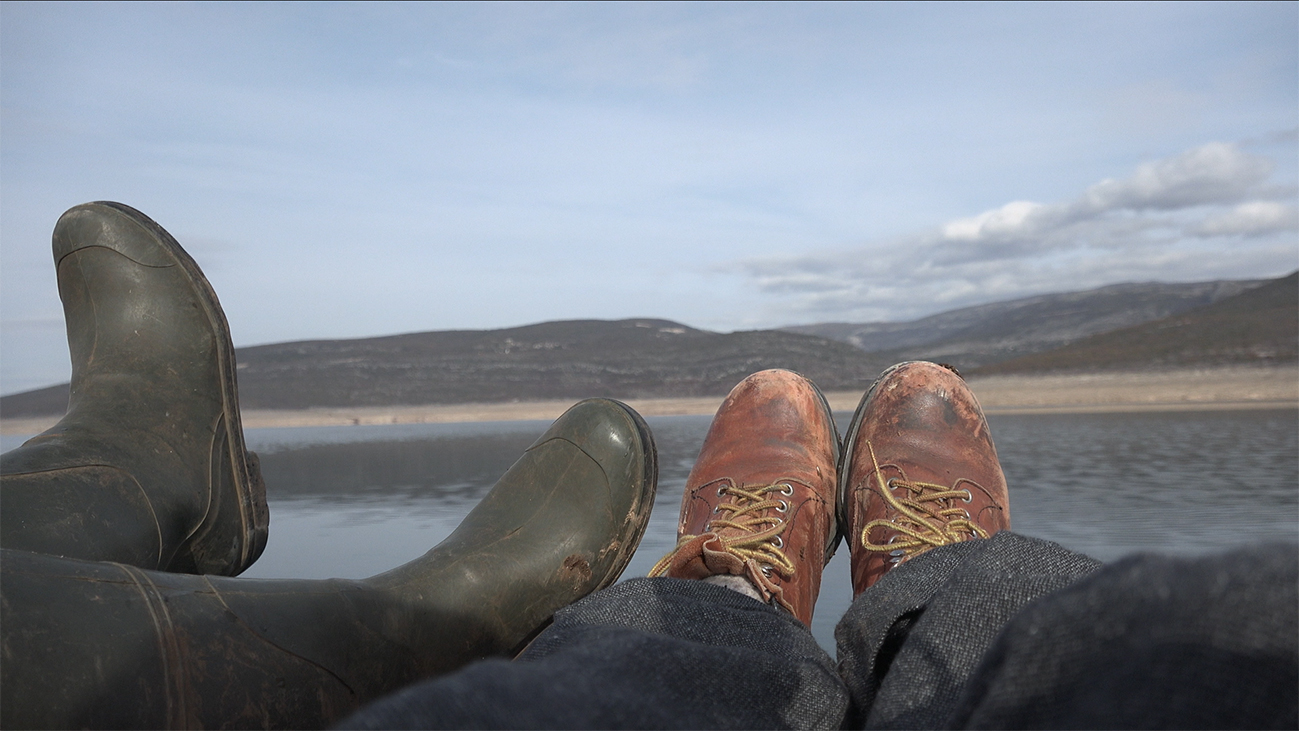 Looking for Horses - Trailer