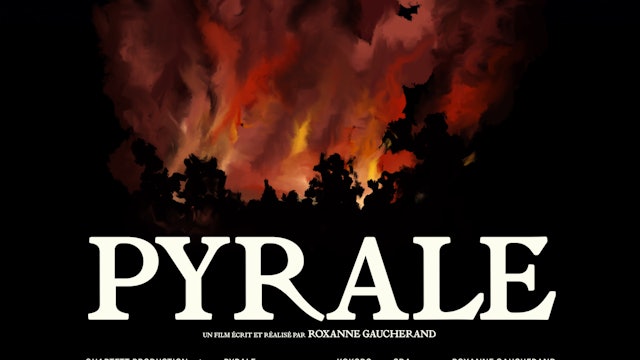 Poster - Moth / Pyrale