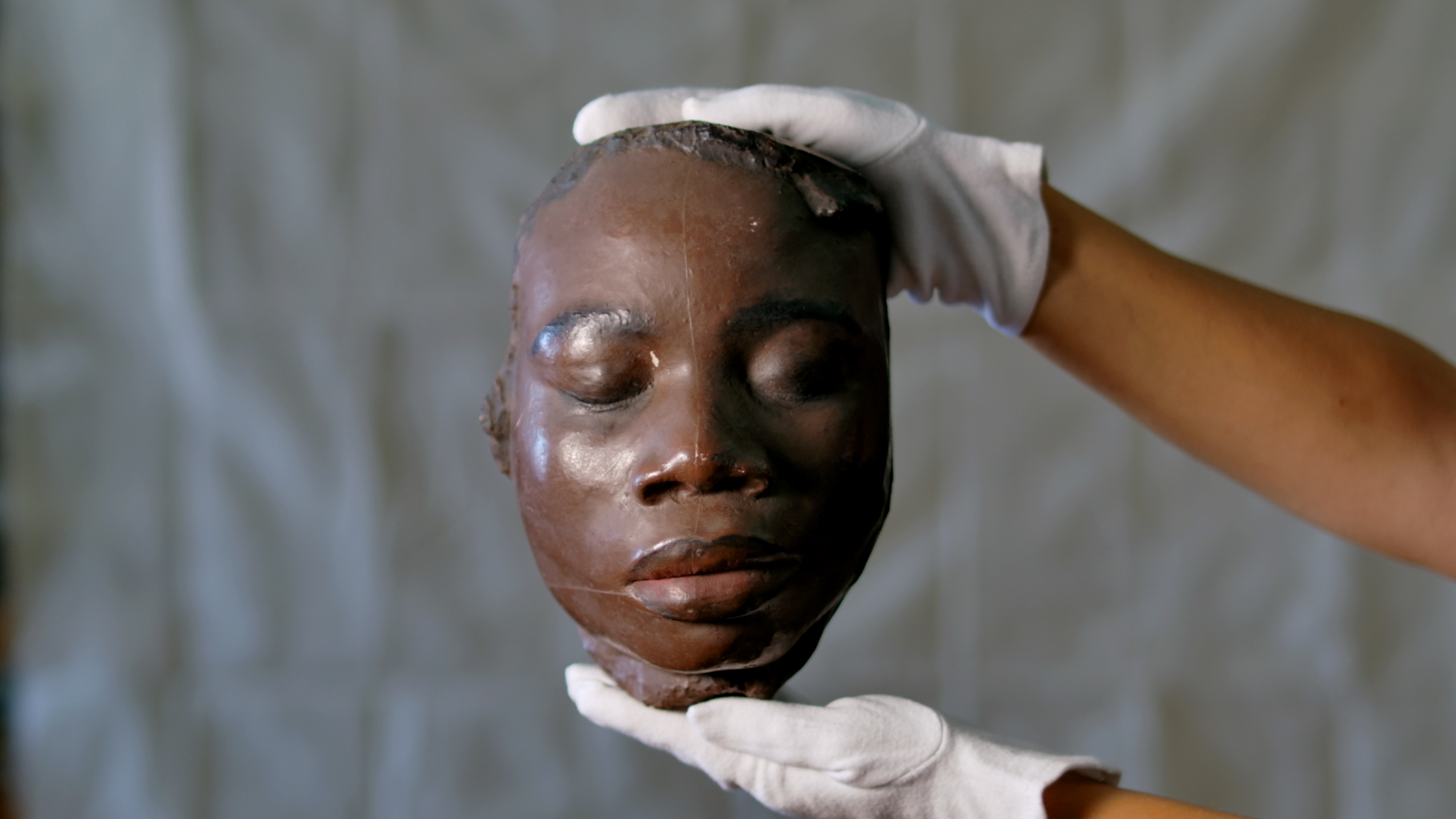 Rosinha and Other Wild Animals