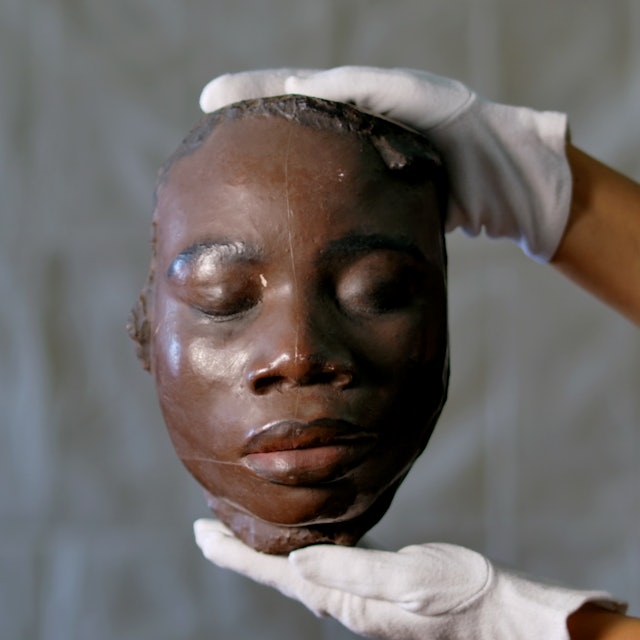 Rosinha and Other Wild Animals