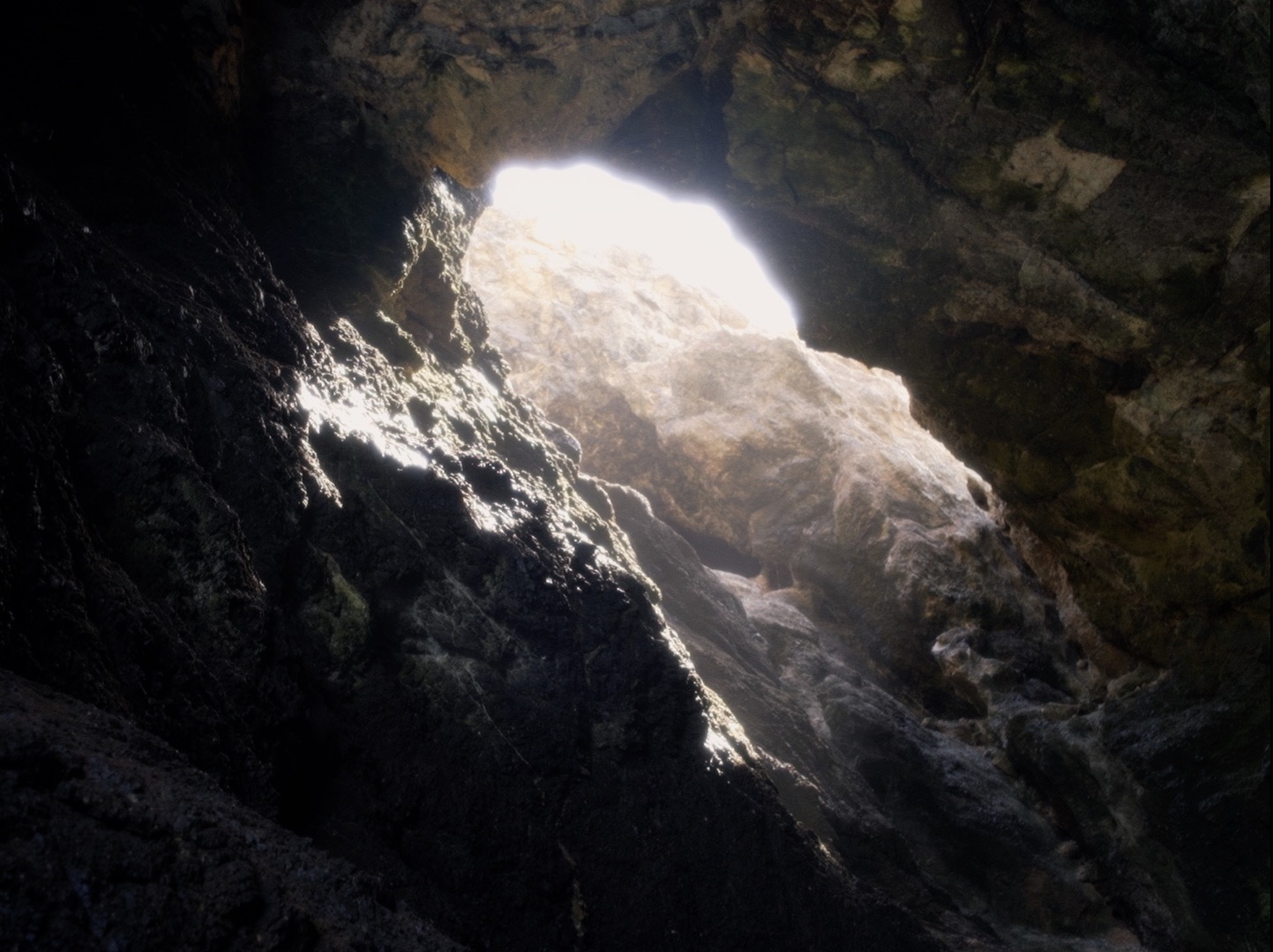 Dreams Travel With the Wind