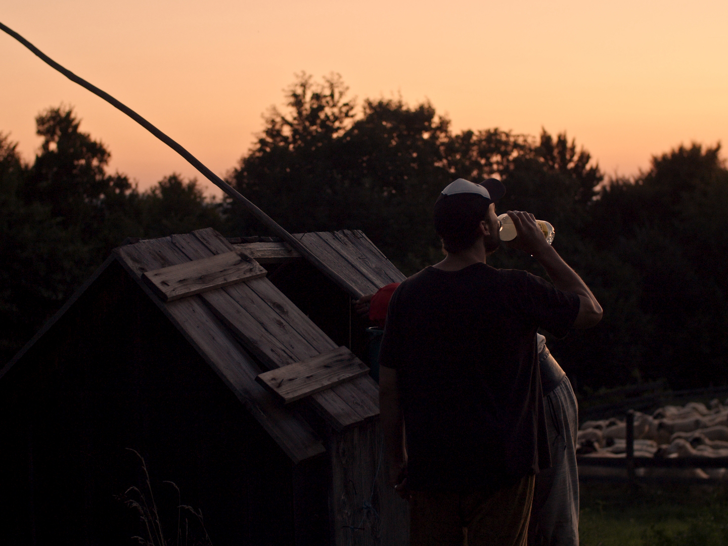 Interview with Jannes Callens - 61st Ann Arbor Film Festival