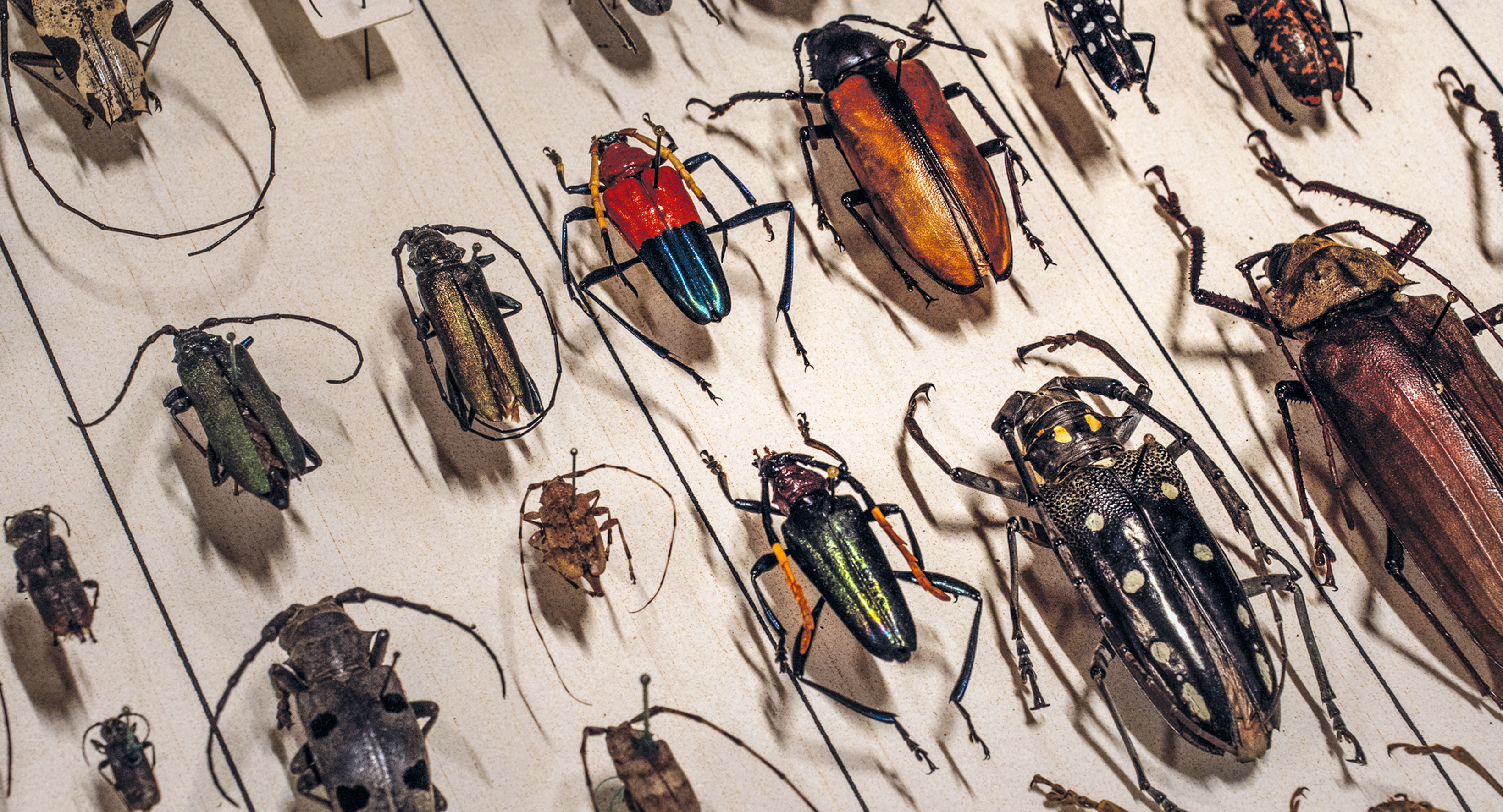 Archive of the Future