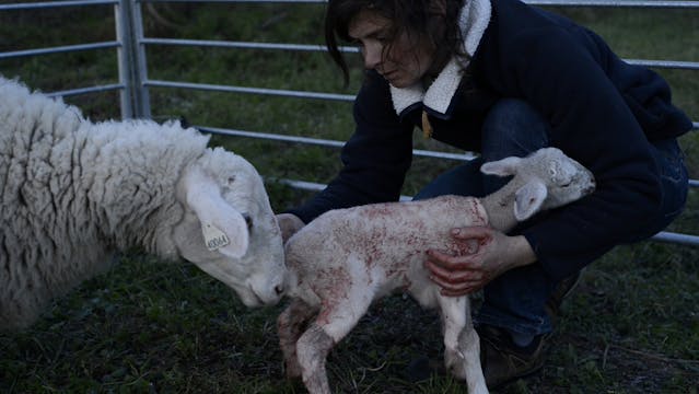 Considering the Ends