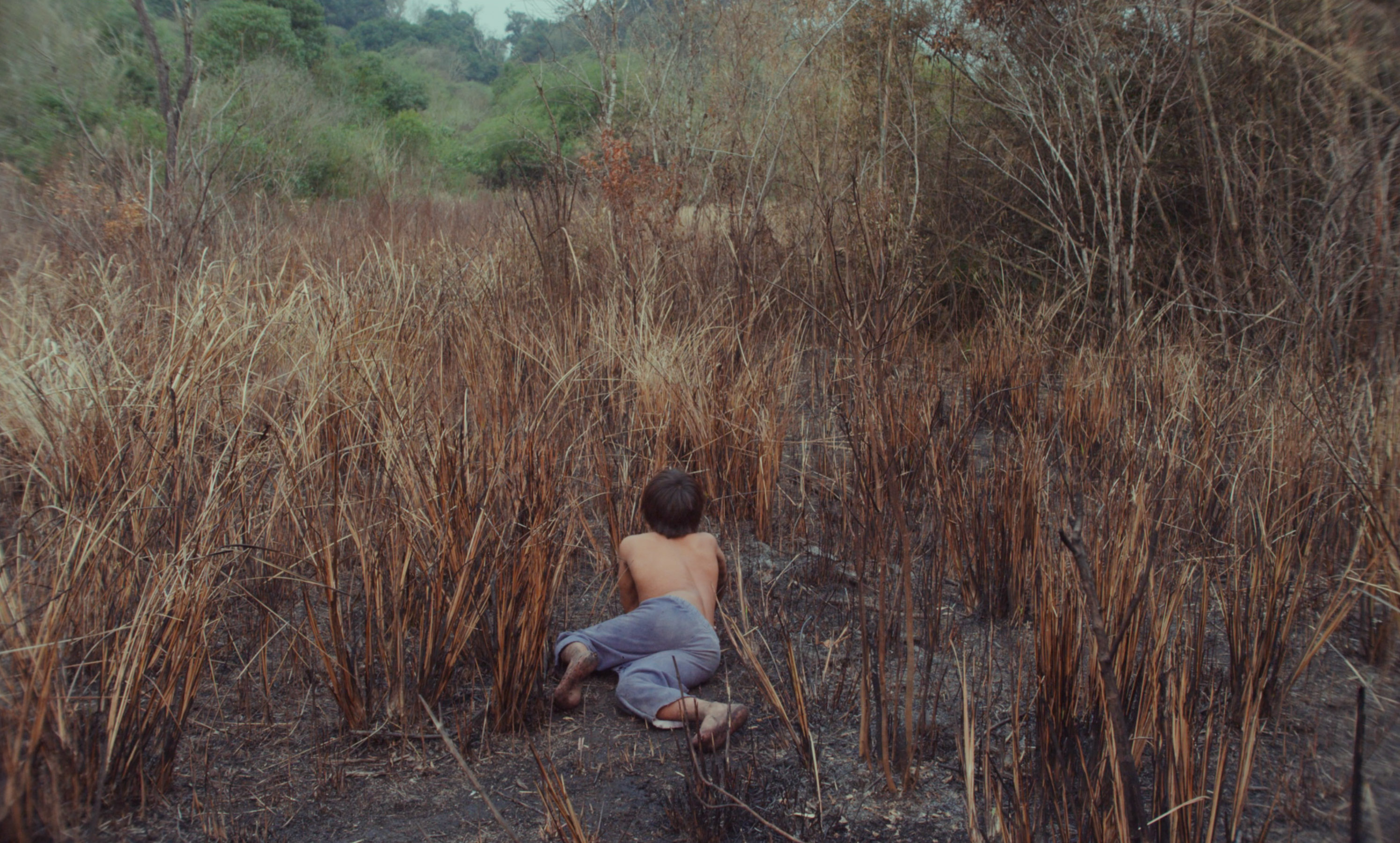 Canuto's Transformation