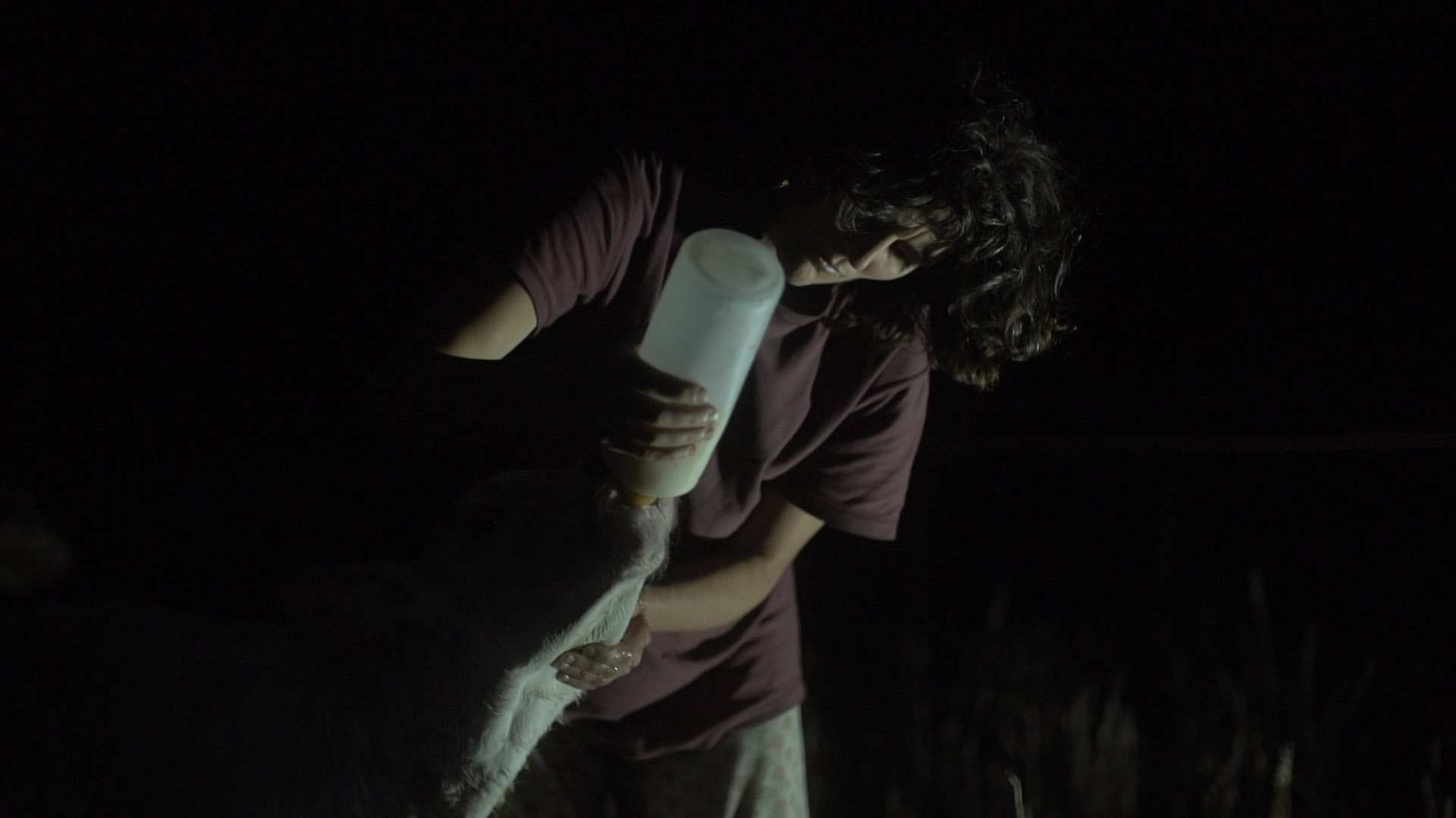 Above 592 Metres - Trailer