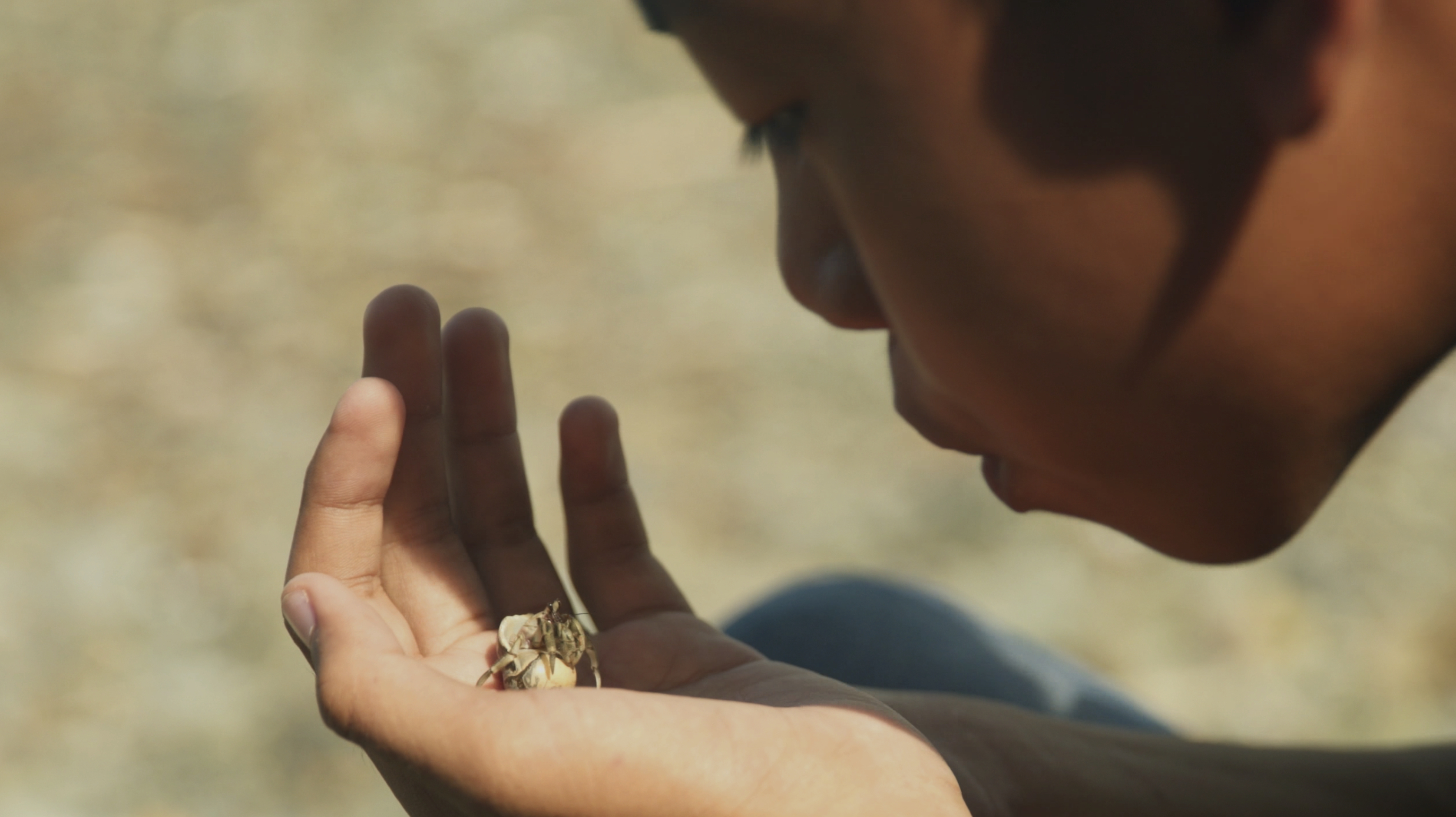 Last Days at Sea - Trailer