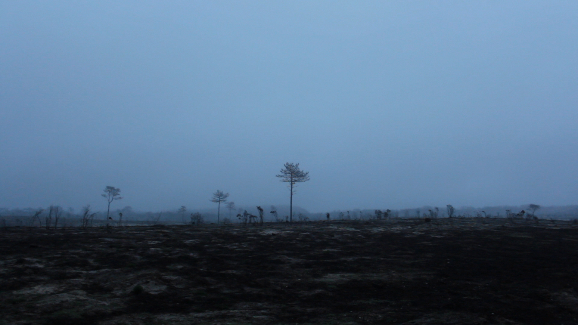 The Secret History of Aviation - Trailer