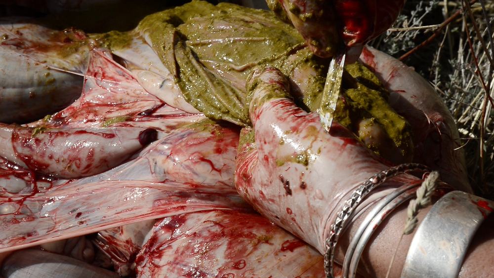 Considering the Ends - Trailer