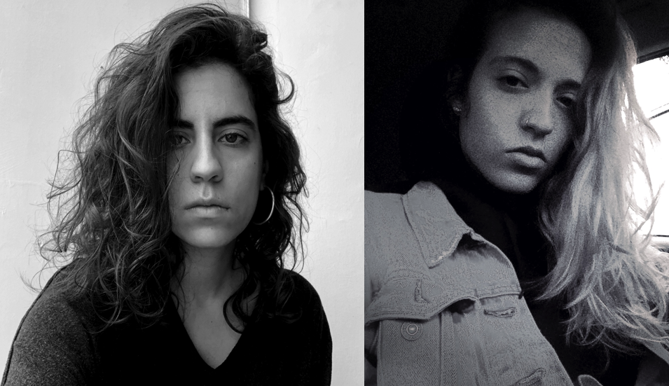 Director Notes: Our Home With the Dogs