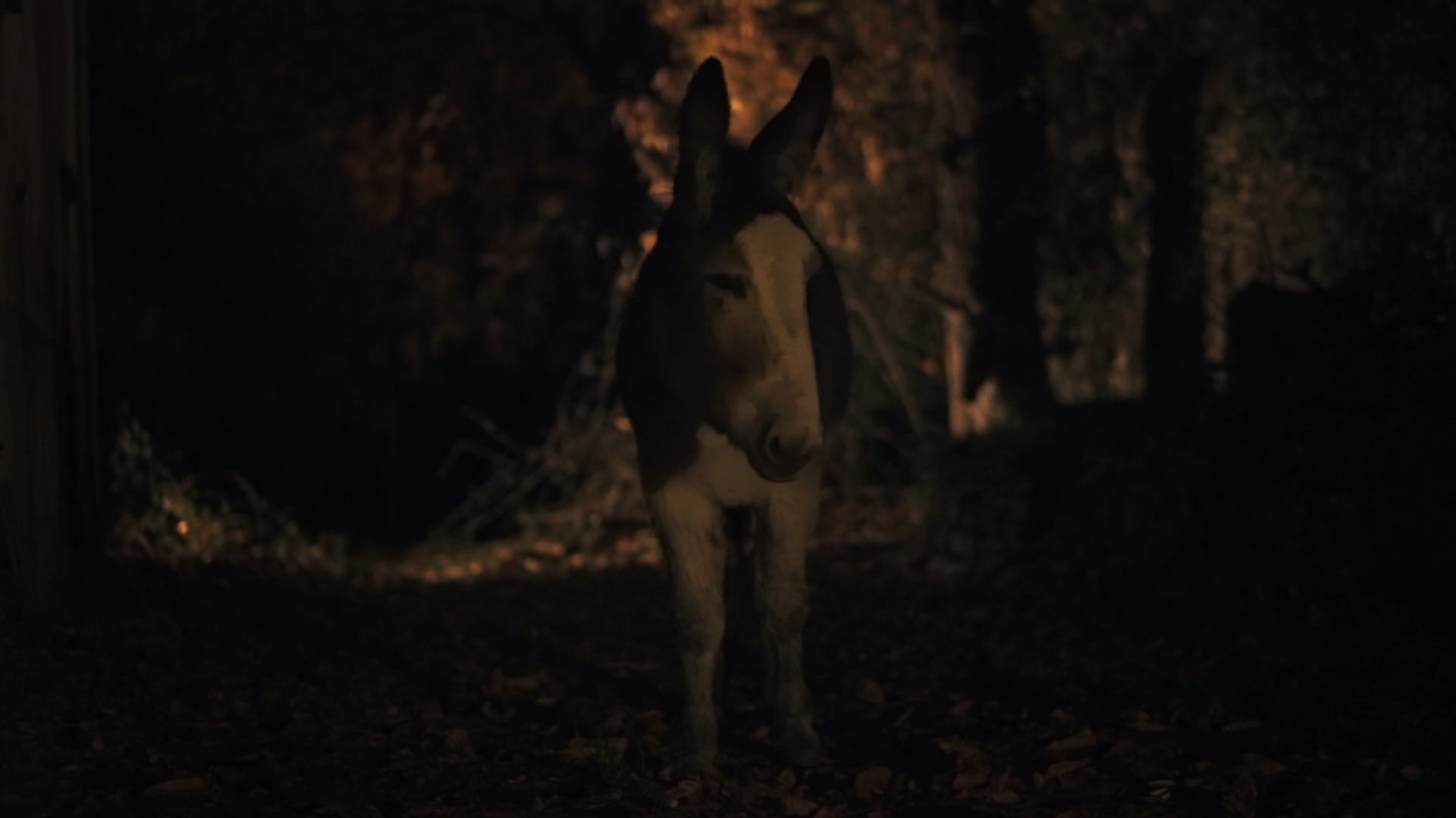 L'Ultimu Sognu - Last Dream in Petra-Blanca - Clip 2