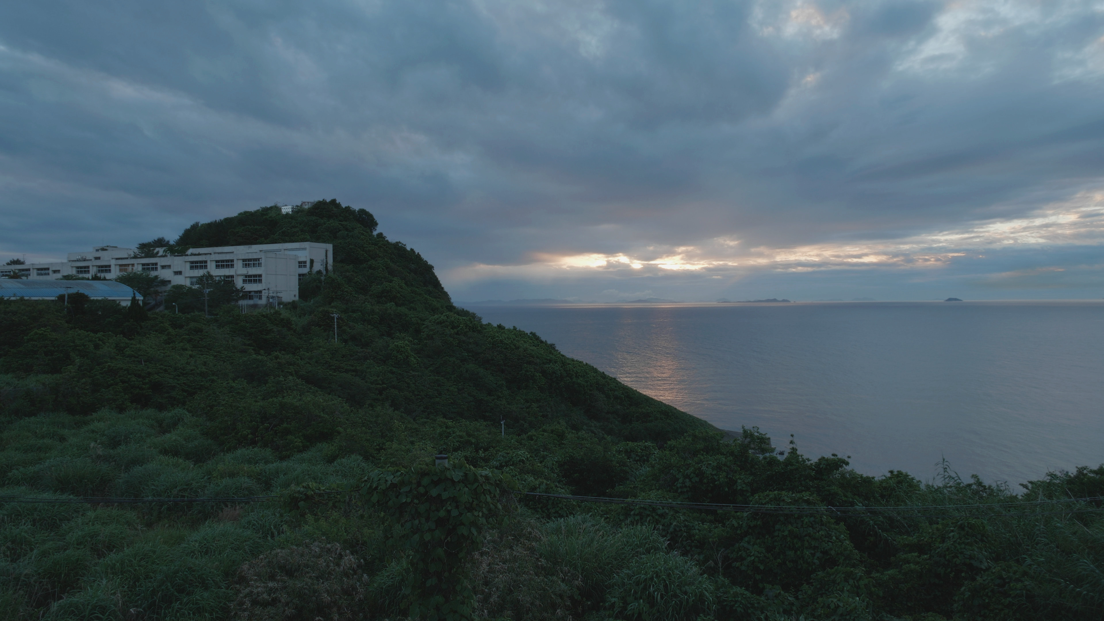 Dreaming an Island - Trailer