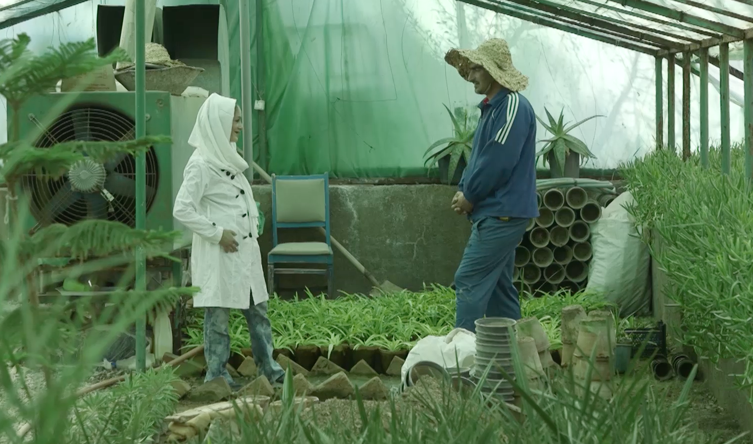 The Marriage Project - Trailer