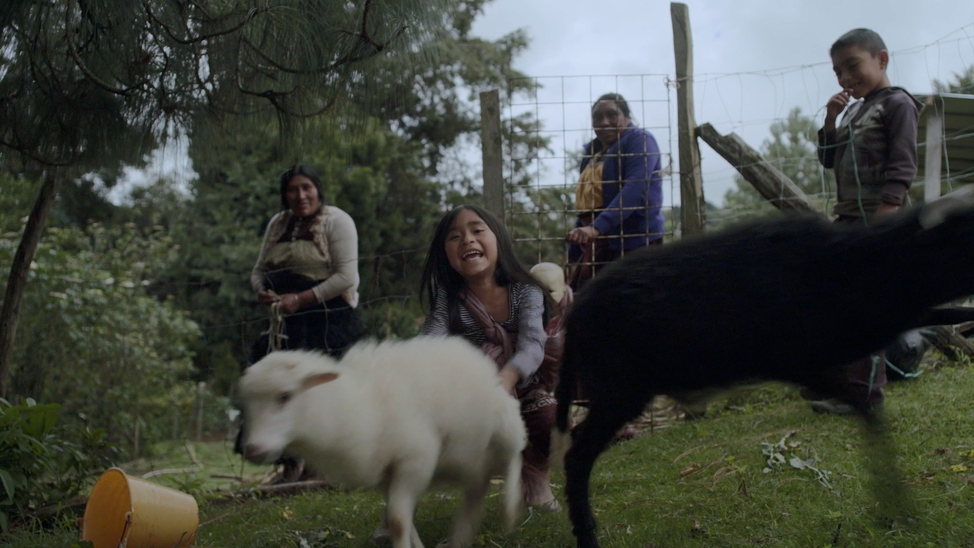 Ways to Traverse a Territory - Trailer