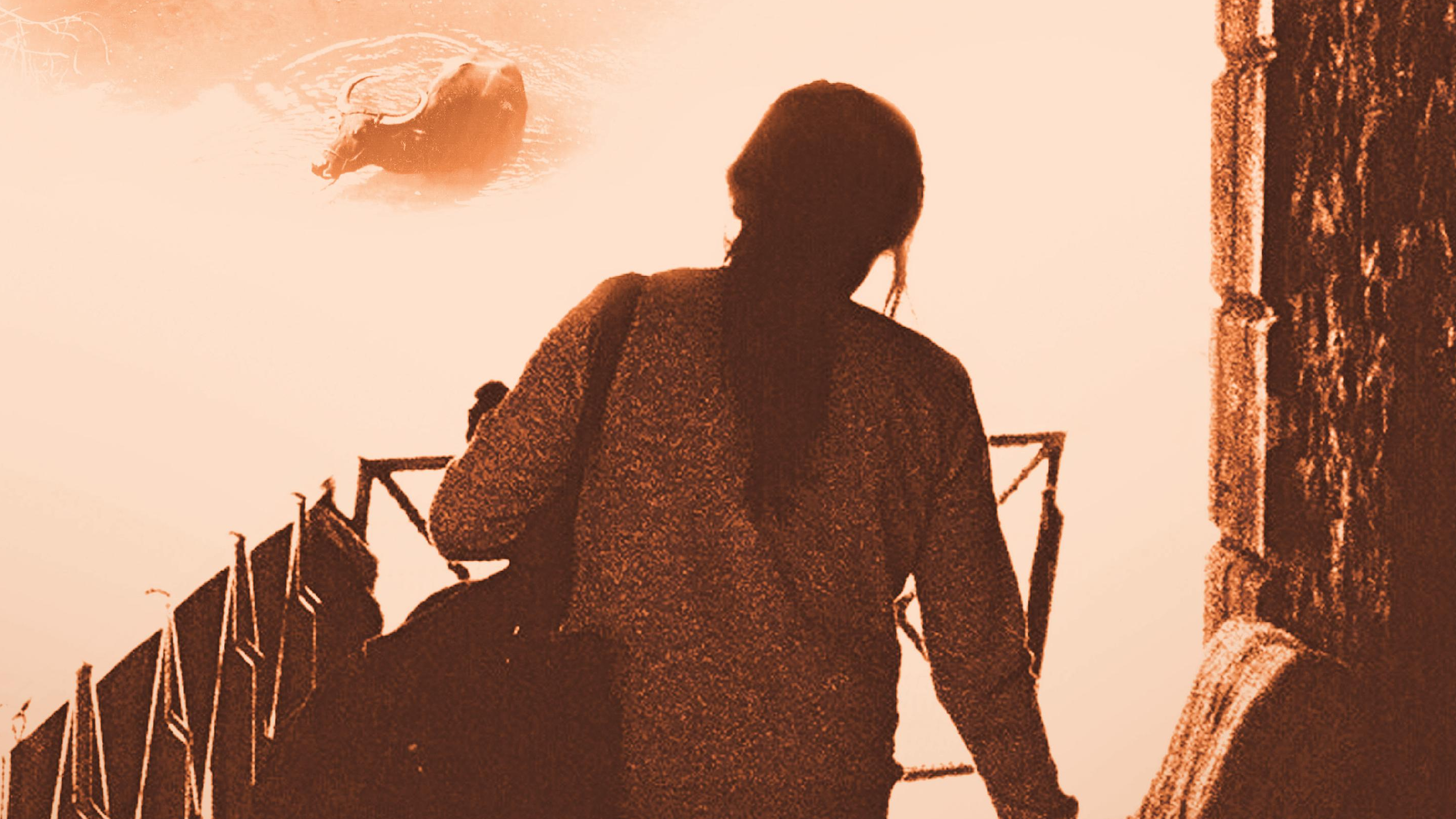 Shelter - Farewell to Eden