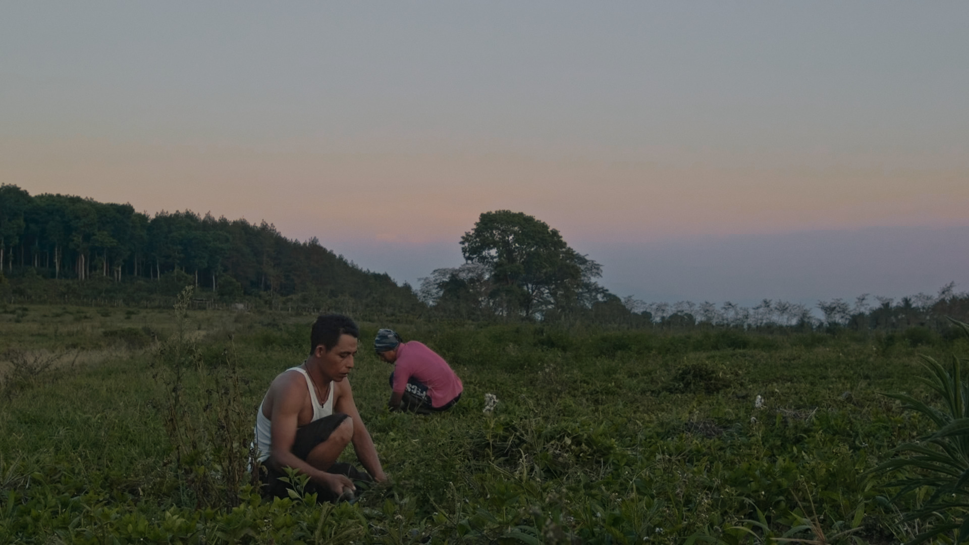 Ancient Soul - Trailer