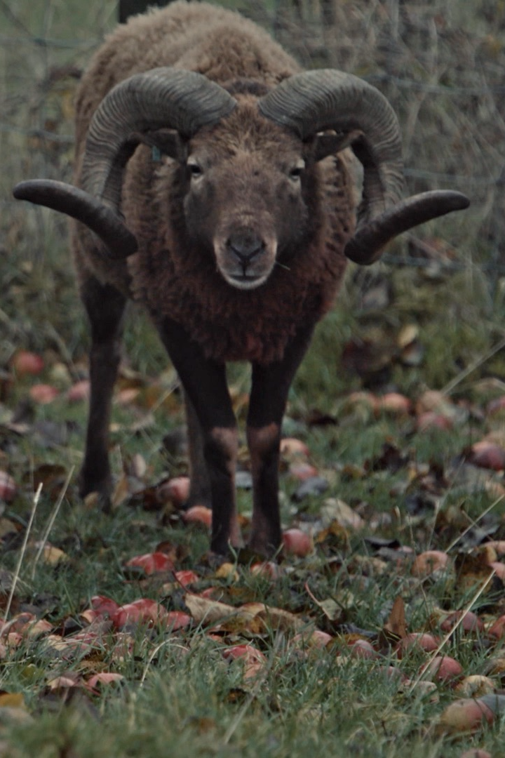 Some Kind of Intimacy