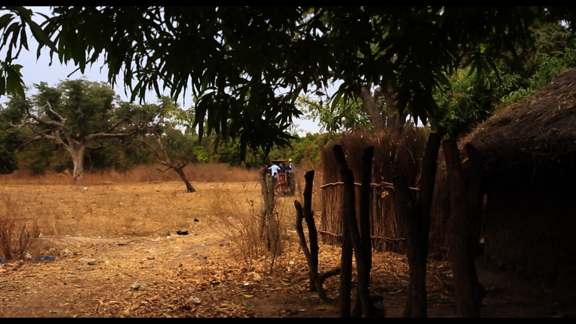 Talking Dreams - Trailer