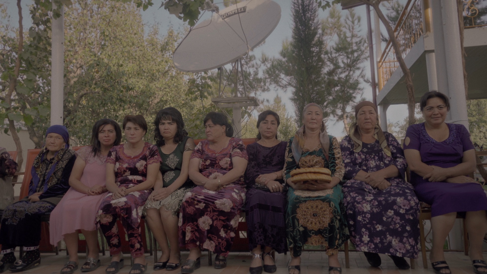 Cotton100% - Trailer