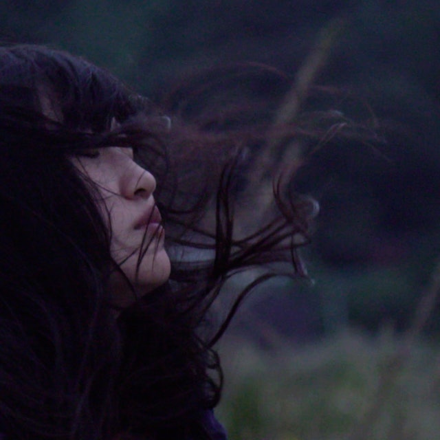 All Of Our Heartbeats Are Connected Through Exploding Stars