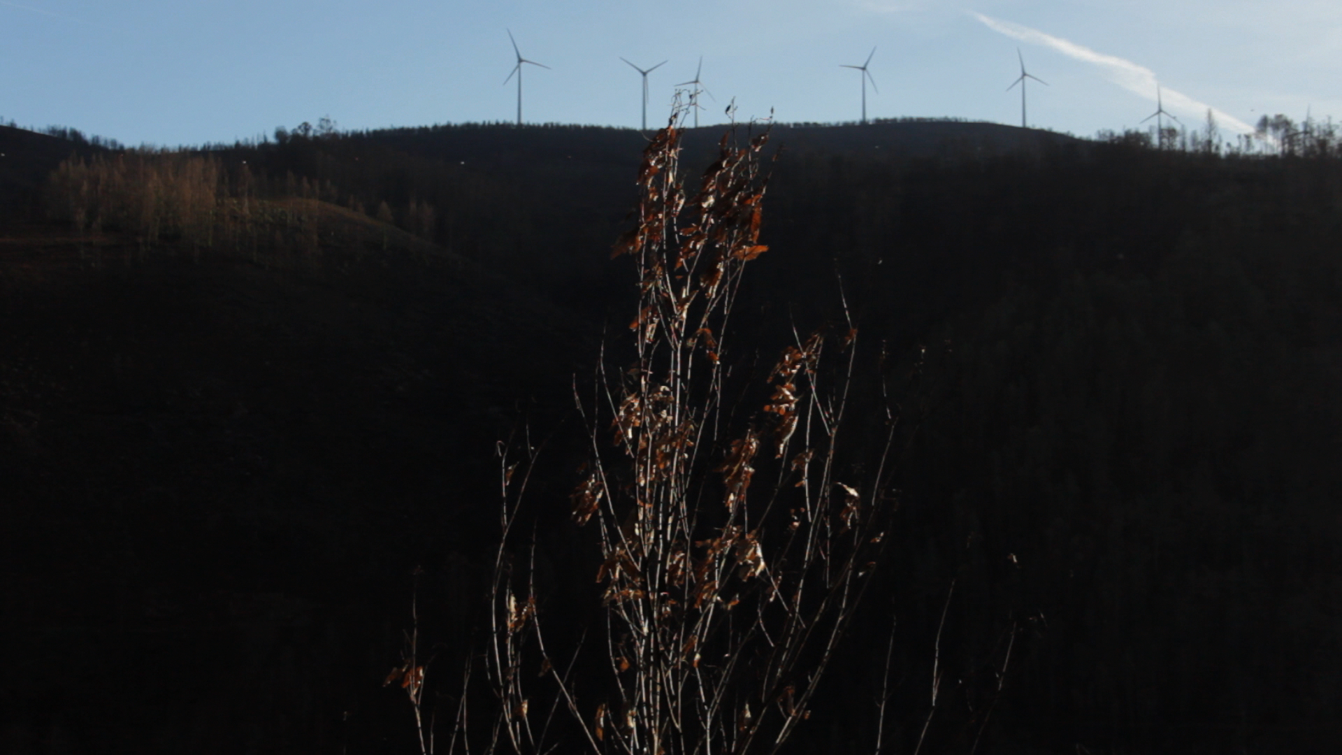 The Secret History of Aviation