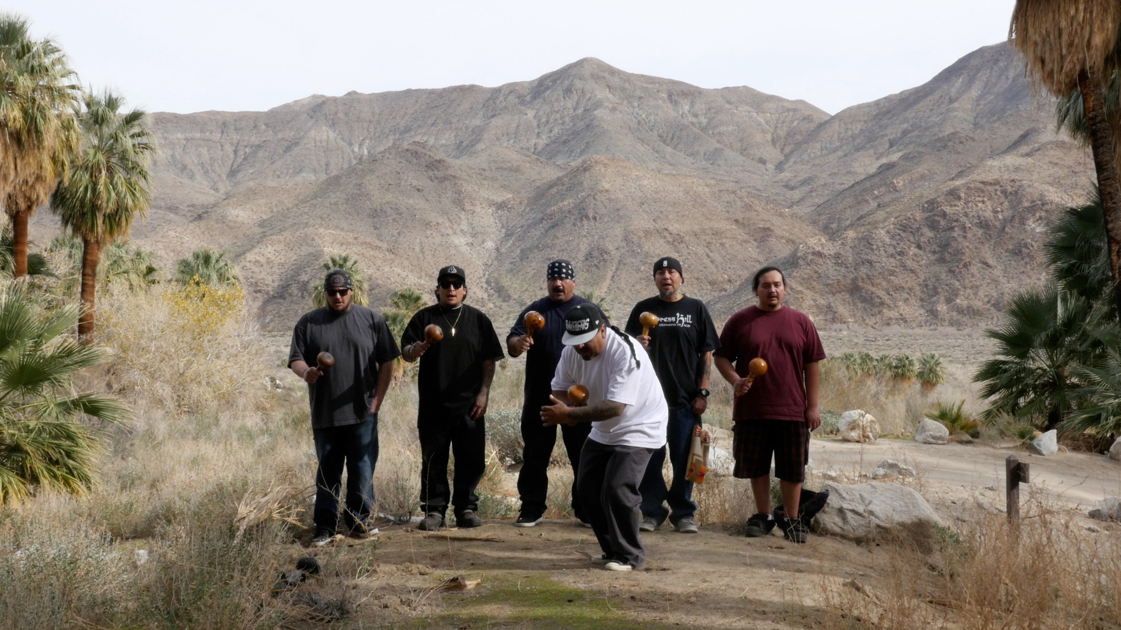 Among the Palms the Bomb