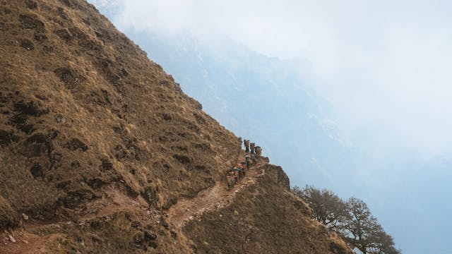 Far Beyond the Pasturelands