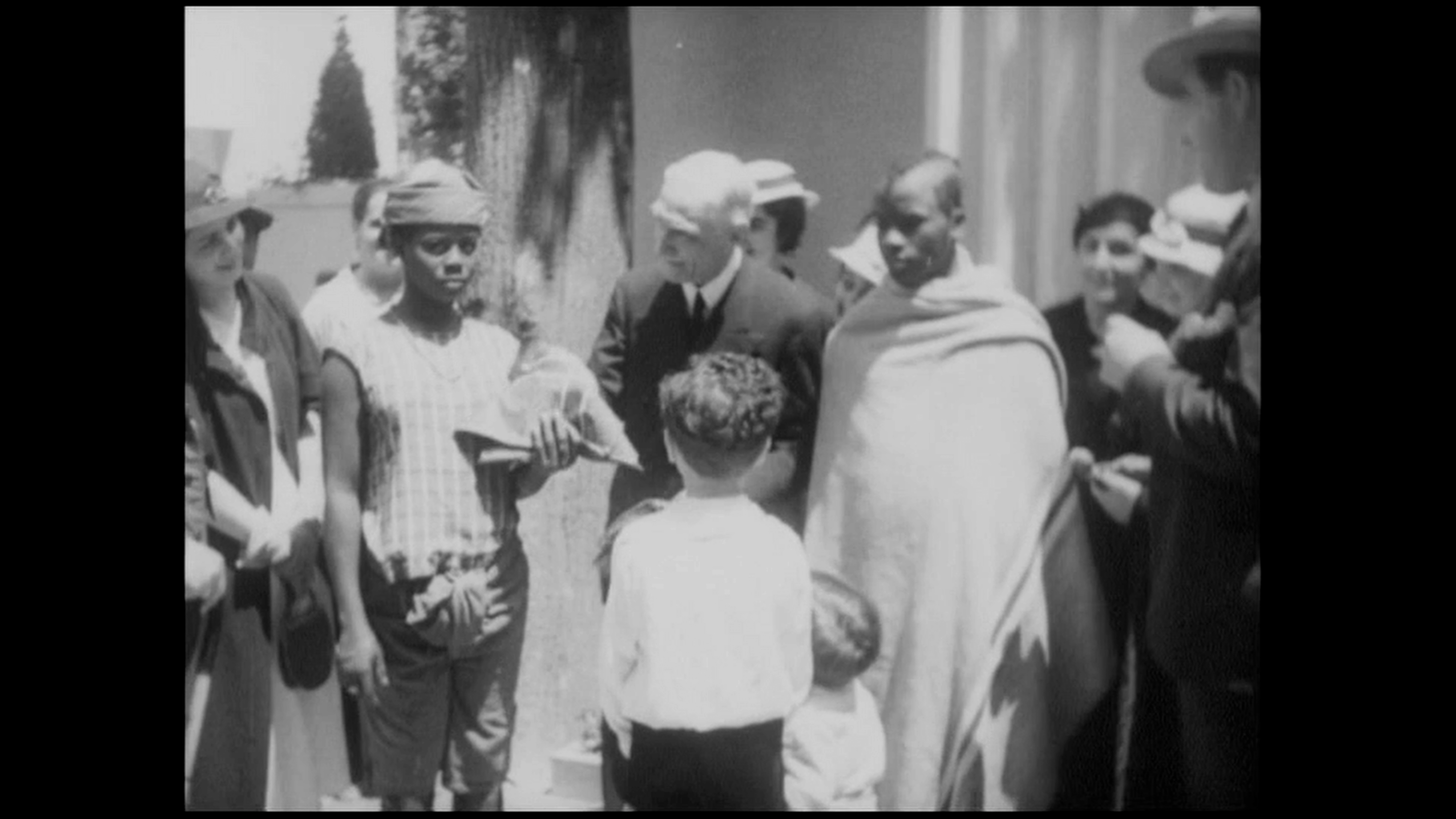 Rosinha and Other Wild Animals - Trailer