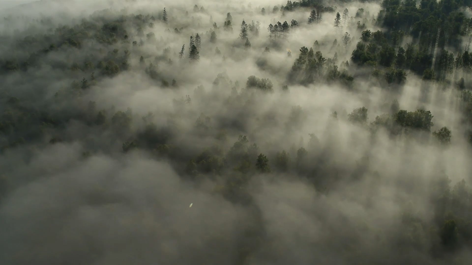 Stories of the Half-Light