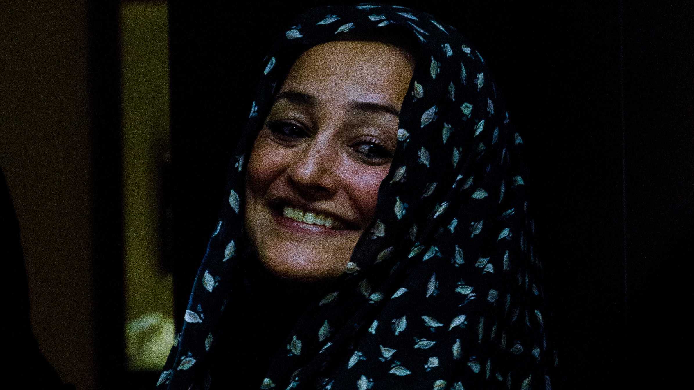 Still 2 - Finding Farideh