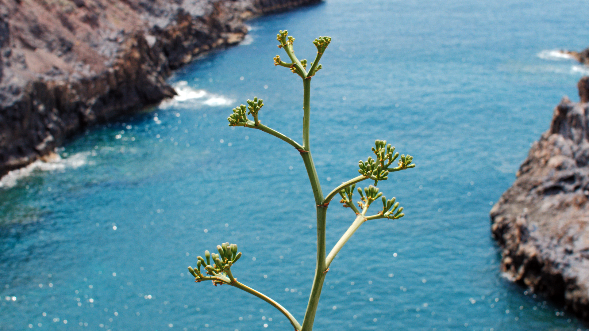 Light Falls Vertical - Trailer