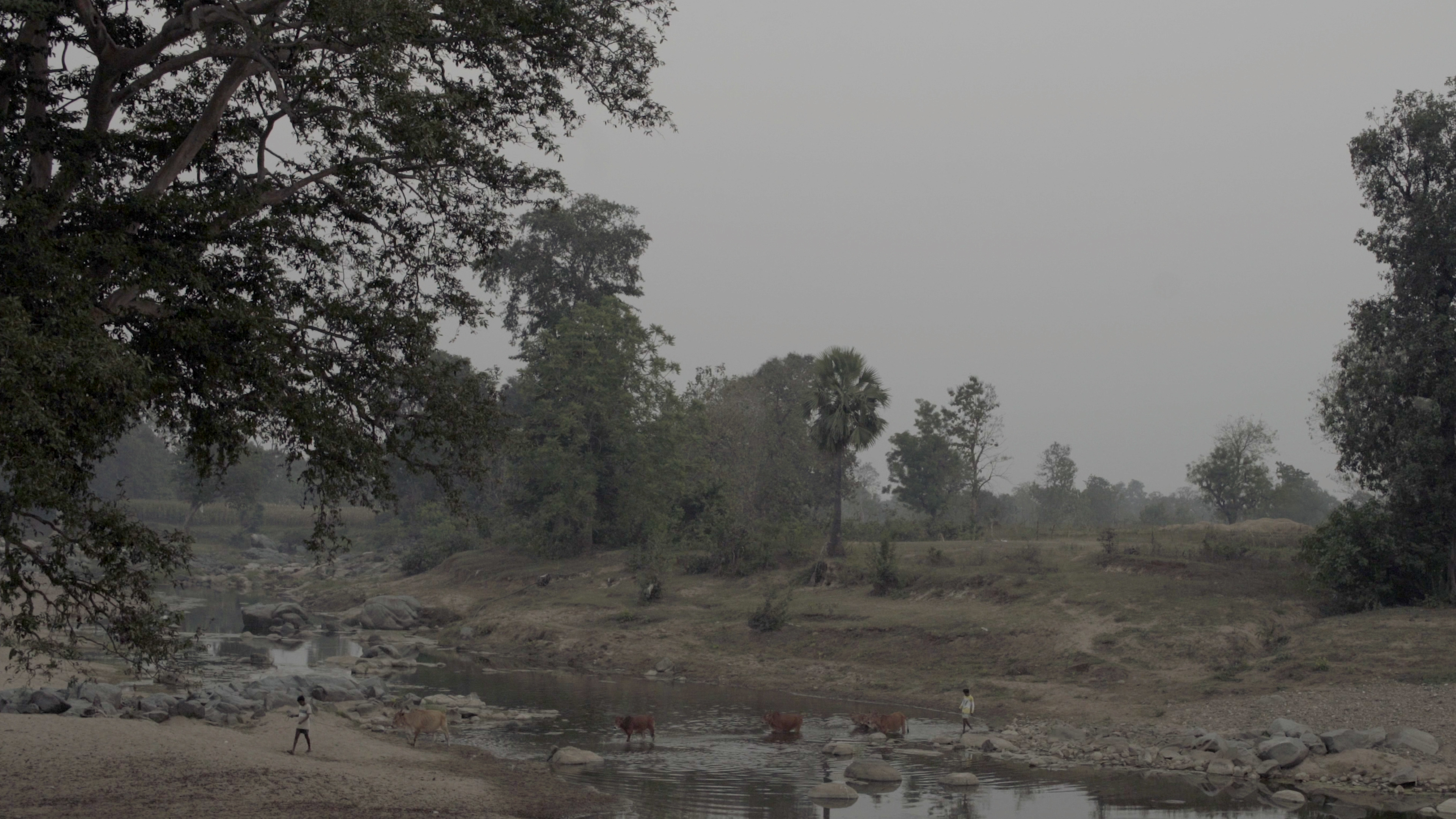 A Rifle and a Bag - Trailer