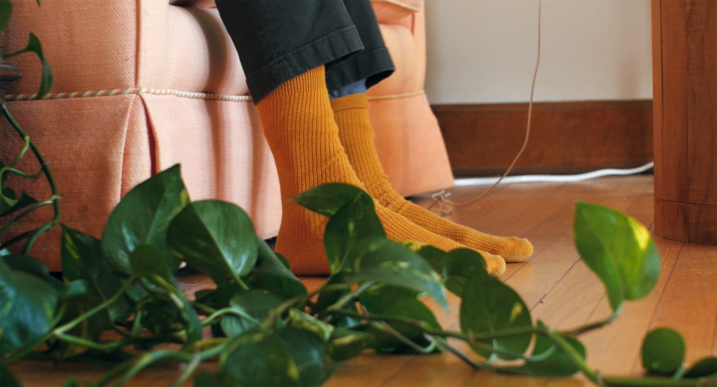 Light Needs - Trailer