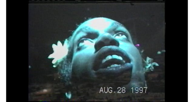 The Life of Sean Delear