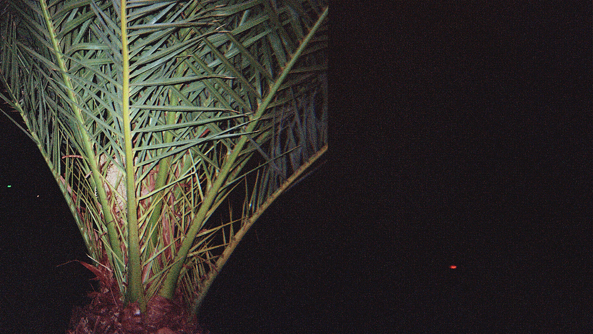 This Day Won't Last - Clip