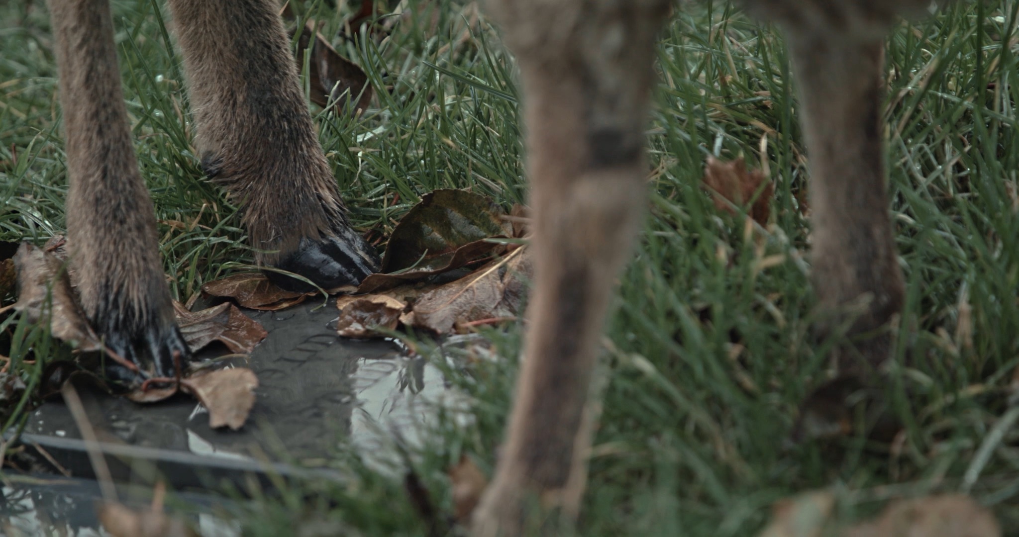 Some Kind Of Intimacy