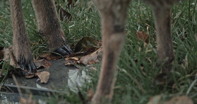 Some Kind Of Intimacy