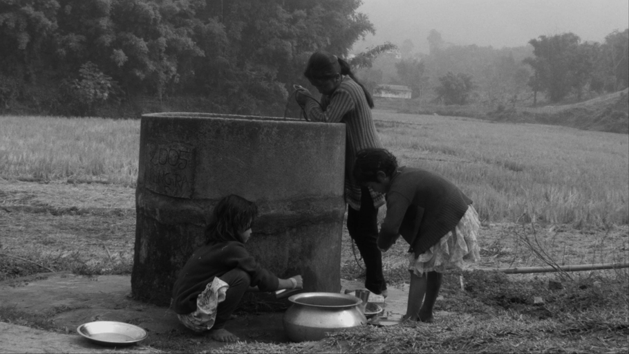 My Courtyard - Trailer